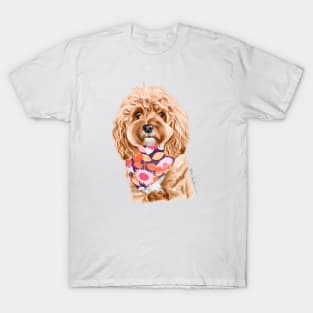 Cavoodle T-Shirt